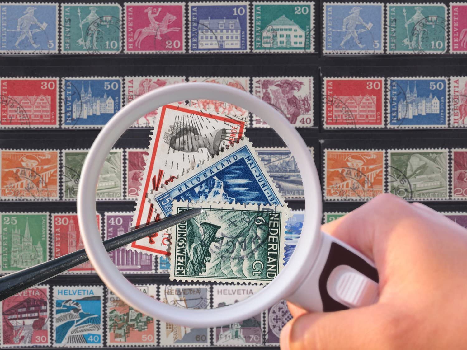 Magnifying Glass with Light - 3 Lens Set (2x + 3.5x + 10x) - Image 14