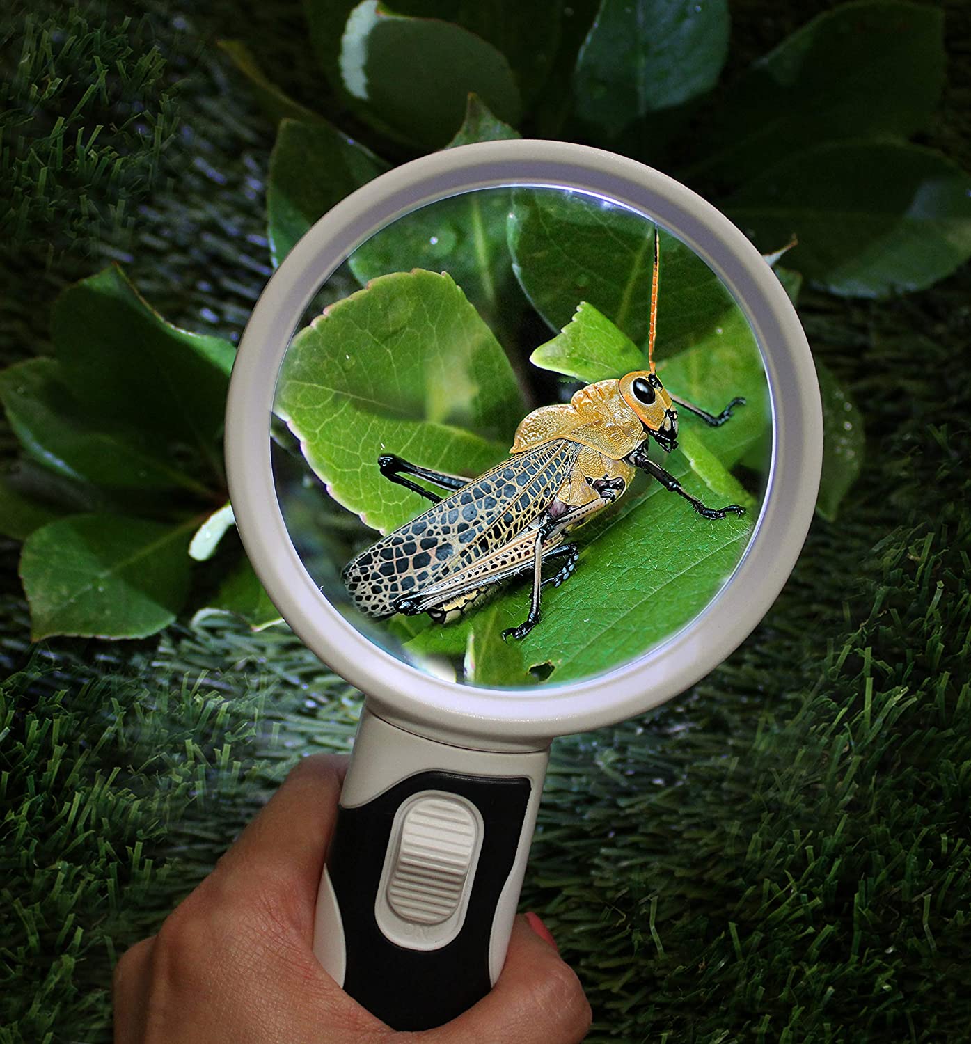 Magnifying Glass with Light - 3 Lens Set (2x + 3.5x + 10x) - Image 15